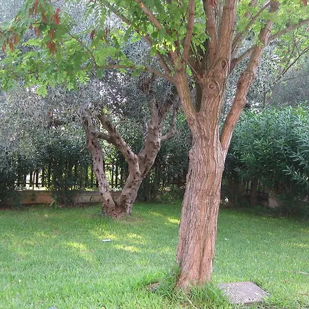 Caputaquis Capaccio